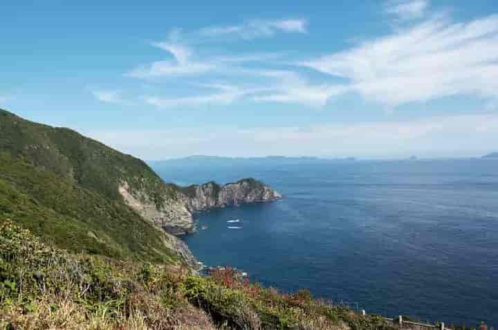 高茂岬からの眺望
